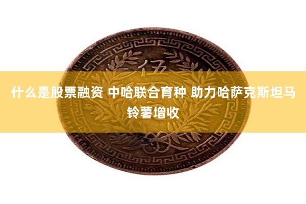 什么是股票融资 中哈联合育种 助力哈萨克斯坦马铃薯增收