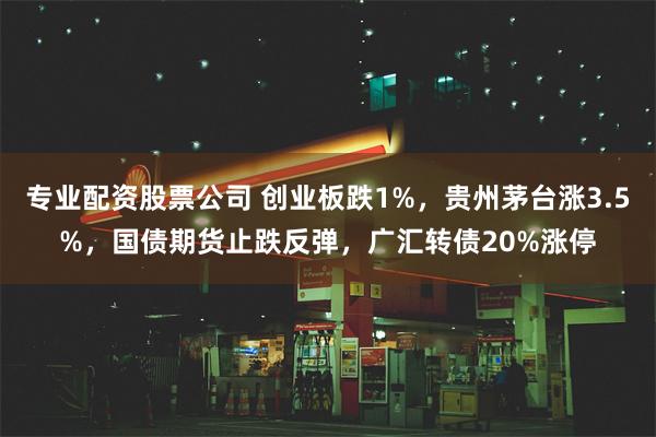 专业配资股票公司 创业板跌1%，贵州茅台涨3.5%，国债期货止跌反弹，广汇转债20%涨停