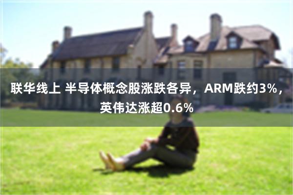 联华线上 半导体概念股涨跌各异，ARM跌约3%，英伟达涨超0.6%