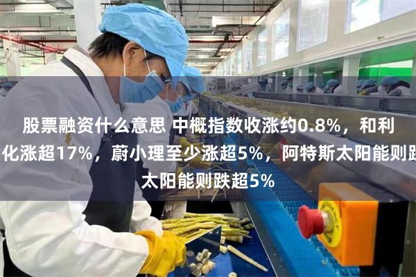 股票融资什么意思 中概指数收涨约0.8%，和利时自动化涨超17%，蔚小理至少涨超5%，阿特斯太阳能则跌超5%