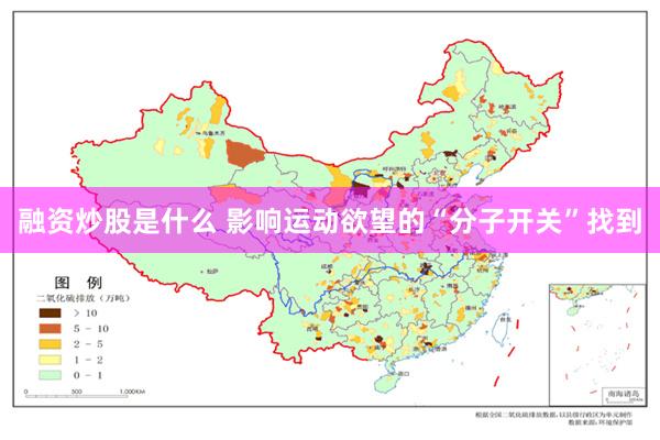 融资炒股是什么 影响运动欲望的“分子开关”找到