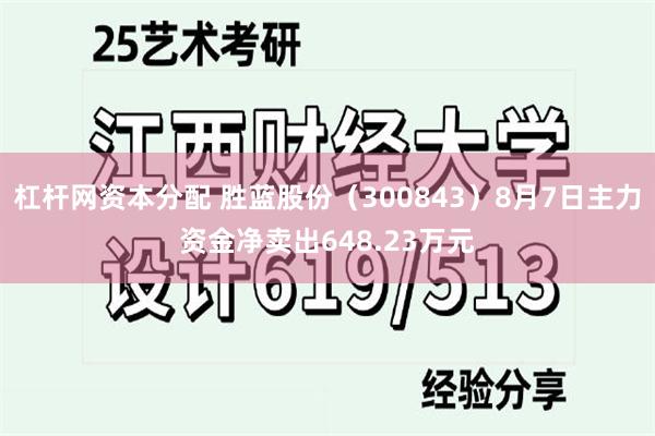 杠杆网资本分配 胜蓝股份（300843）8月7日主力资金净卖出648.23万元