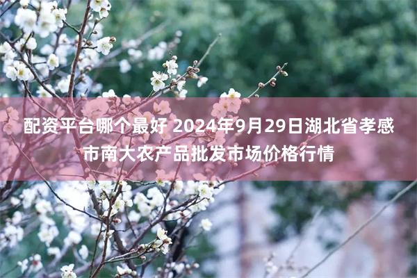 配资平台哪个最好 2024年9月29日湖北省孝感市南大农产品批发市场价格行情