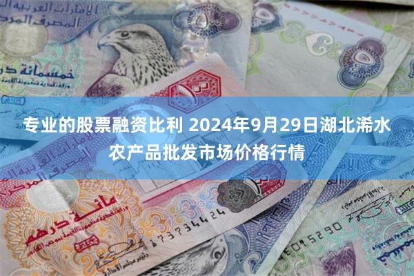 专业的股票融资比利 2024年9月29日湖北浠水农产品批发市场价格行情