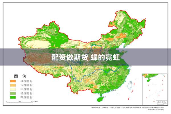 配资做期货 蝶的霓虹