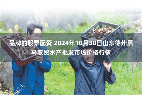 品牌的股票配资 2024年10月30日山东德州黑马农贸水产批发市场价格行情