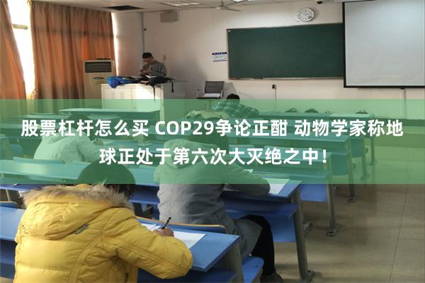 股票杠杆怎么买 COP29争论正酣 动物学家称地球正处于第六次大灭绝之中！