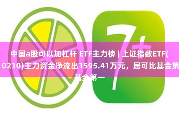 中国a股可以加杠杆 ETF主力榜 | 上证指数ETF(510210)主力资金净流出1595.41万元，居可比基金第一