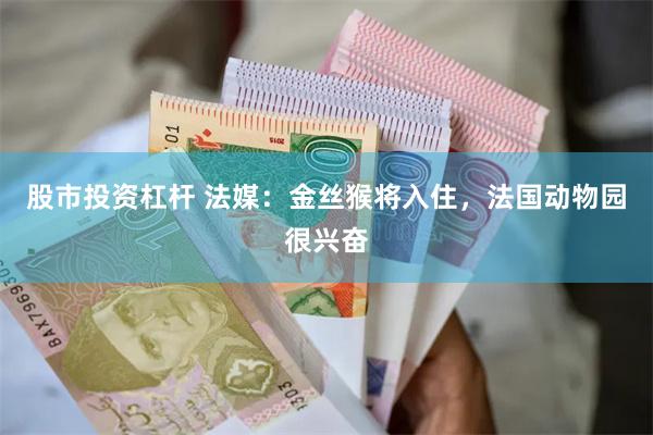 股市投资杠杆 法媒：金丝猴将入住，法国动物园很兴奋