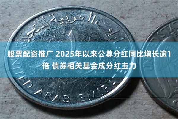 股票配资推广 2025年以来公募分红同比增长逾1倍 债券相关基金成分红主力